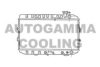 AUTOGAMMA 102110 Radiator, engine cooling